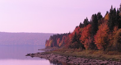 Working with NGOs and the US Forest Service Heron's Eye Communications produced a Land Trust's Guide to partnering with the Fedreal Forest Legacy Program. The beautifully designed PDF web guide will help to protect more forestlands for future generations.