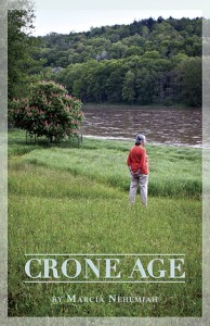 Author Marcia Nehemia's book based on interviews of eight inspiring octogenarians of the Upper Delaware region reveals the joys, challenges, riches and possibilities to be encountered through the aging process. On the Quality of Life Quintet Top 5.