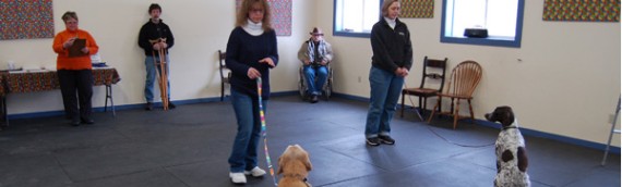 Training a Therapy Dog