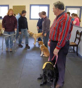 Photograph of Sue Frisch, an AKC Canine Good Citizen Evaluator and owner of the dog boarding business Countryside Kennels at her farm in Wayne County, PA. Her expertise ranges from basic manners training and behavior modification to dog psychology, nutrition, and exercise.