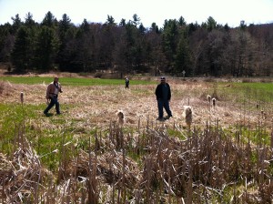 Photo of event organizers exploring a fen that is part of the scenic property where the first Upper Delaware BioBlitz will be held on June 29, 2013 in northern Wayne County, PA.