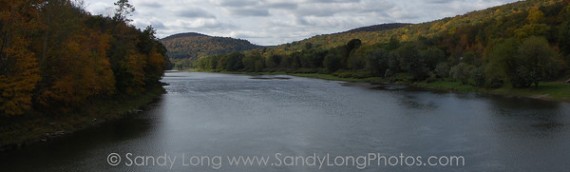 Shenandoah Artist in Residence