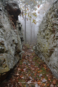 Shenandoah National Park Artist in Residence Sandy Long captured this photograph of Catoctin Rocks while hiking near Compton Gap.