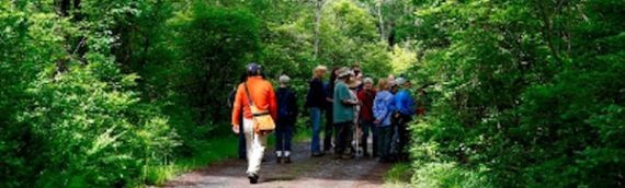 Native Plants and Photos