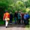 Photo of a native plants walk at the Milford Experimental Forest.